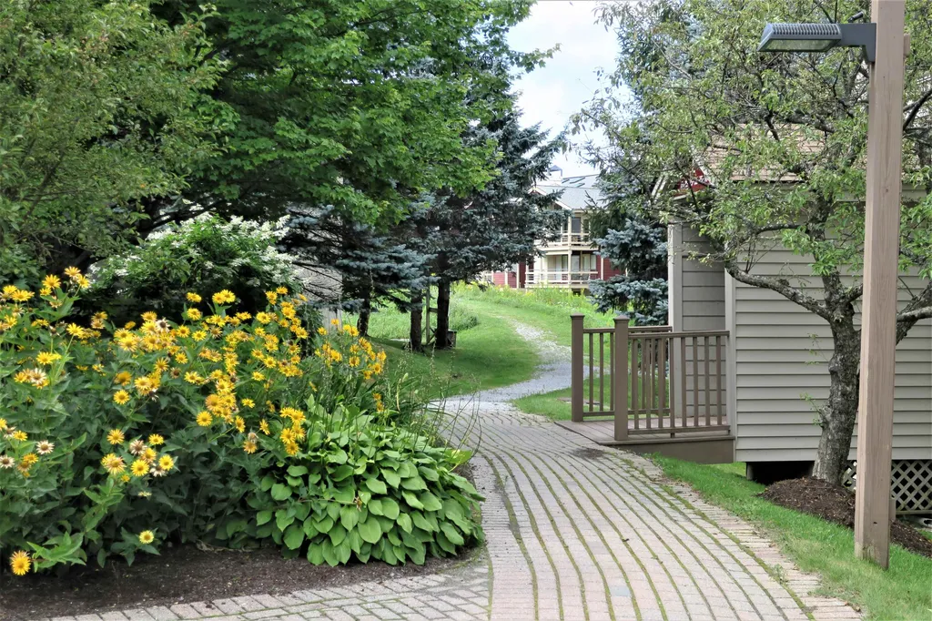 16 Ober Tal Drive Stratton VT 05155