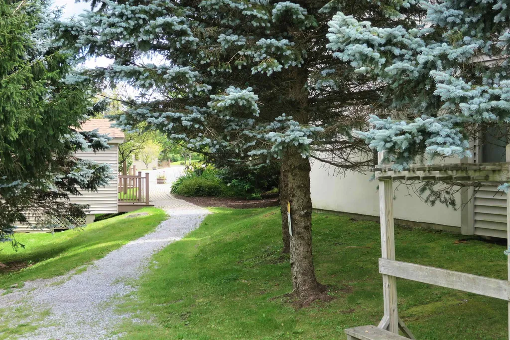 16 Ober Tal Drive Stratton VT 05155