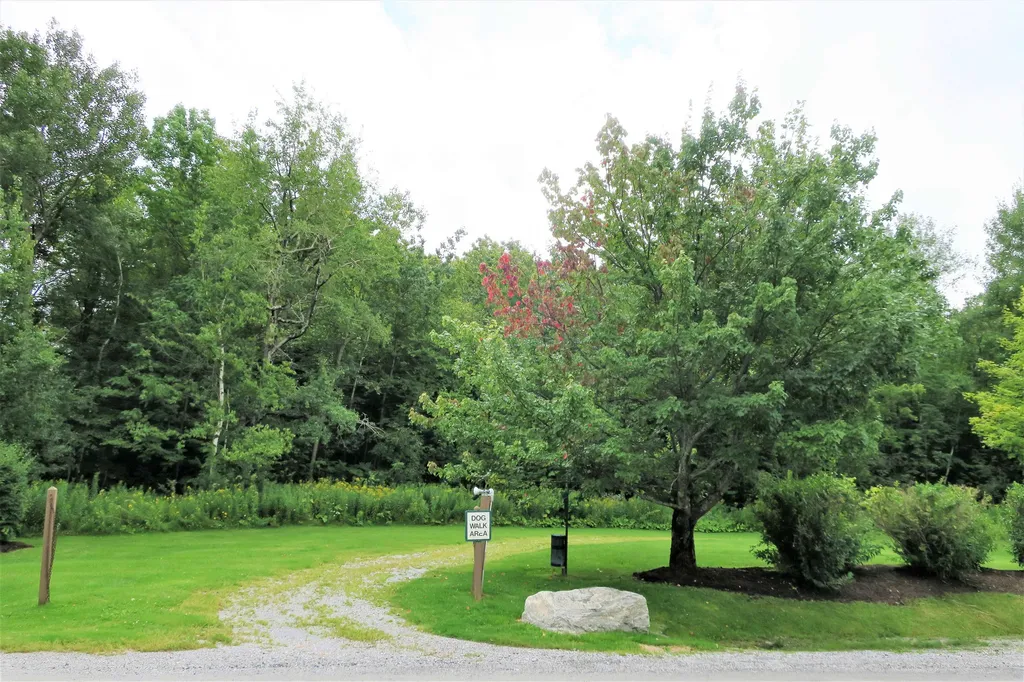 16 Ober Tal Drive Stratton VT 05155