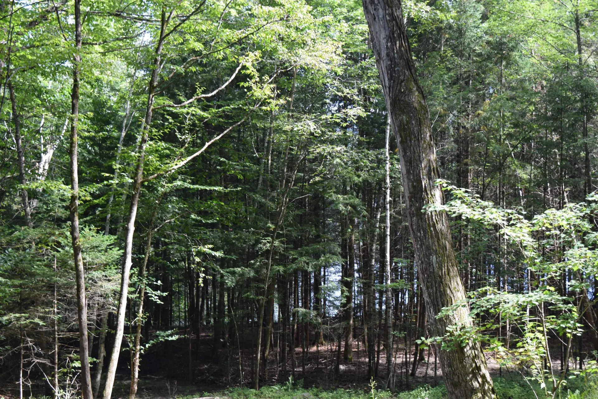Lot 295 Kearsage Drive Haverhill NH 03785