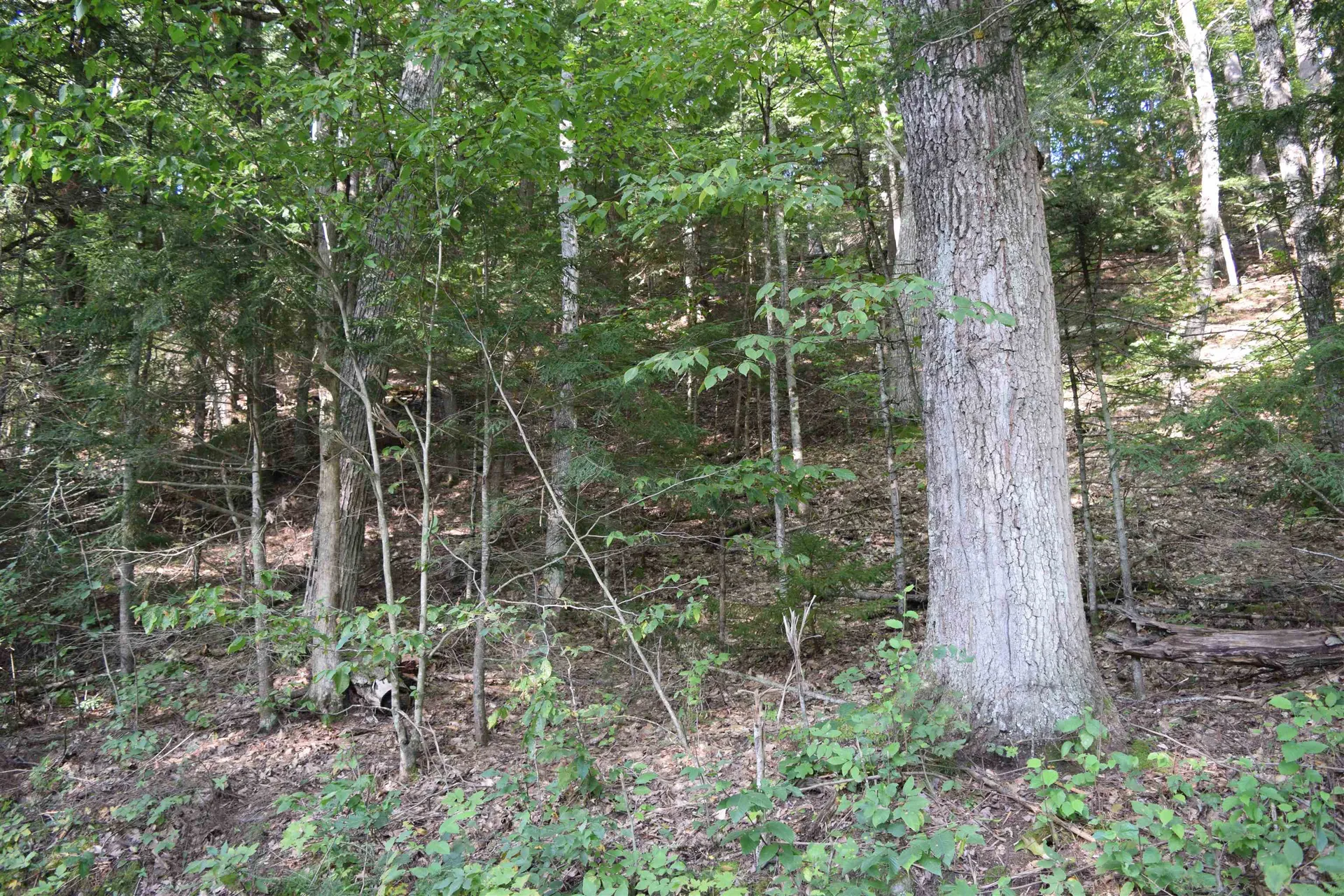 Lot 295 Kearsage Drive Haverhill NH 03785