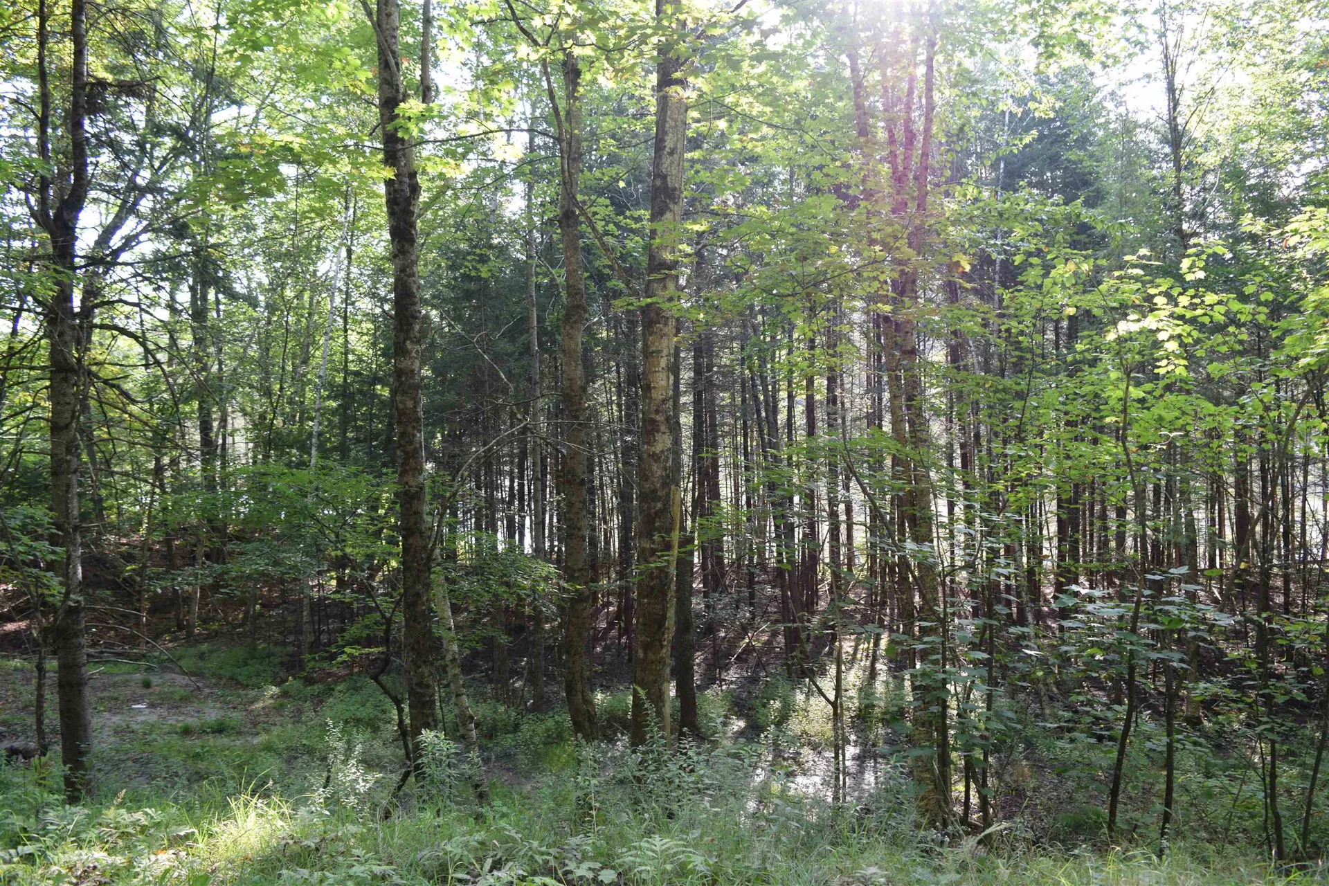 Lot 295 Kearsage Drive Haverhill NH 03785