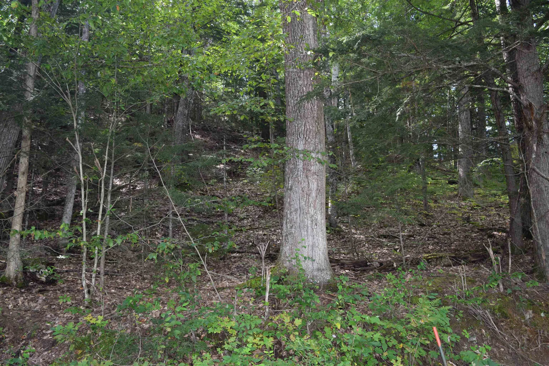 Lot 295 Kearsage Drive Haverhill NH 03785