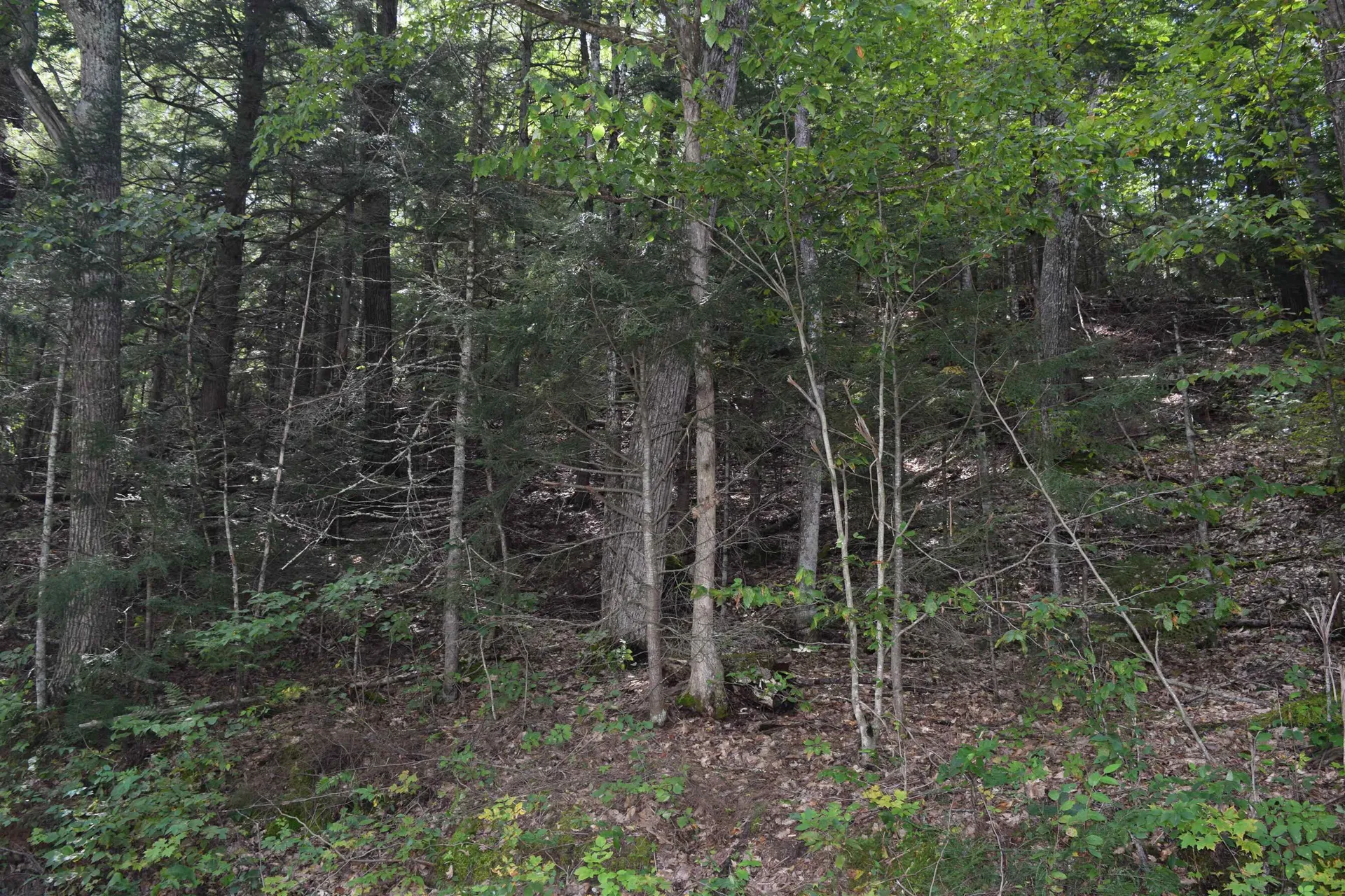 Lot 295 Kearsage Drive Haverhill NH 03785