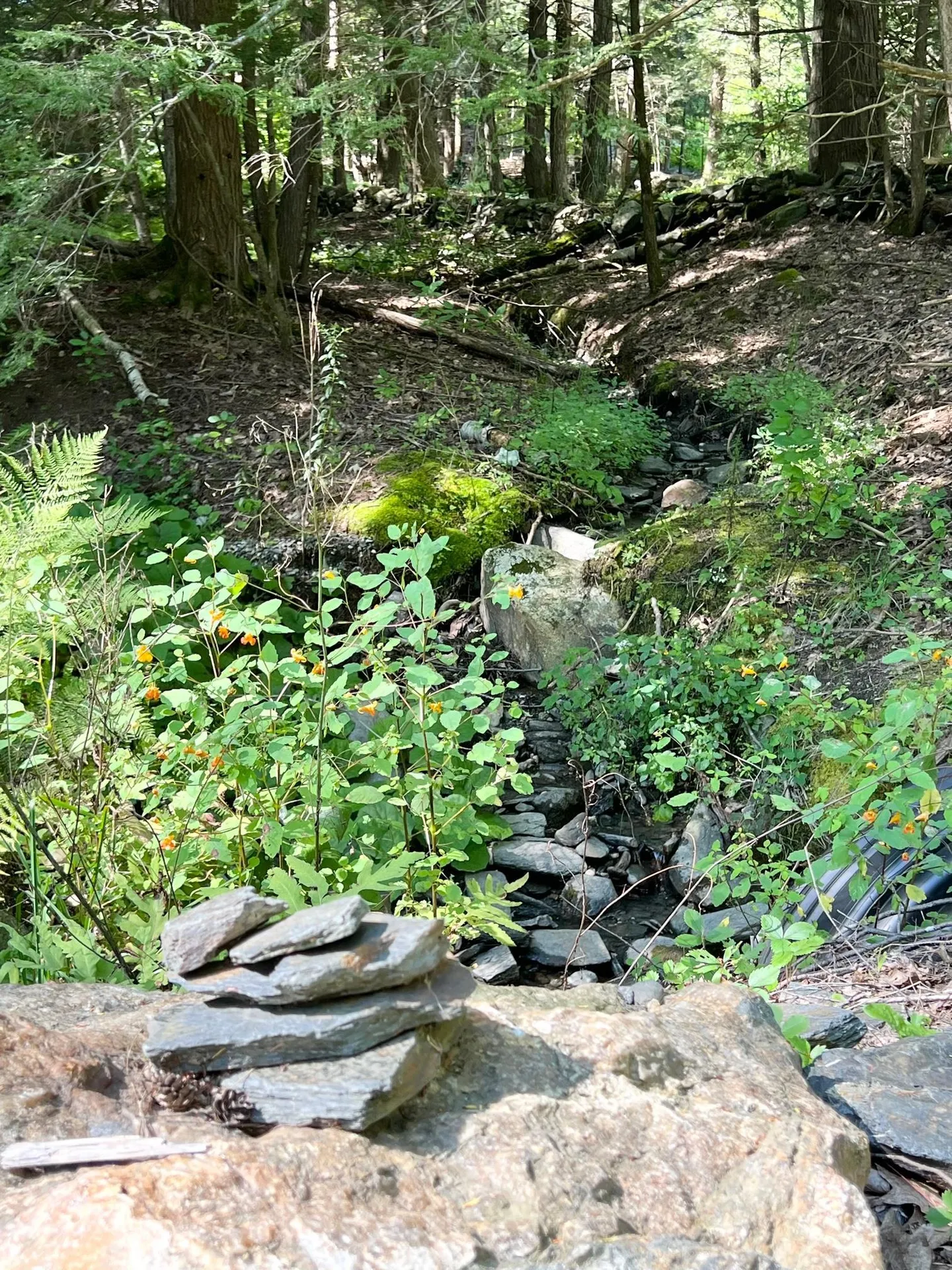 263 Putney Mountain Road Putney VT 05346