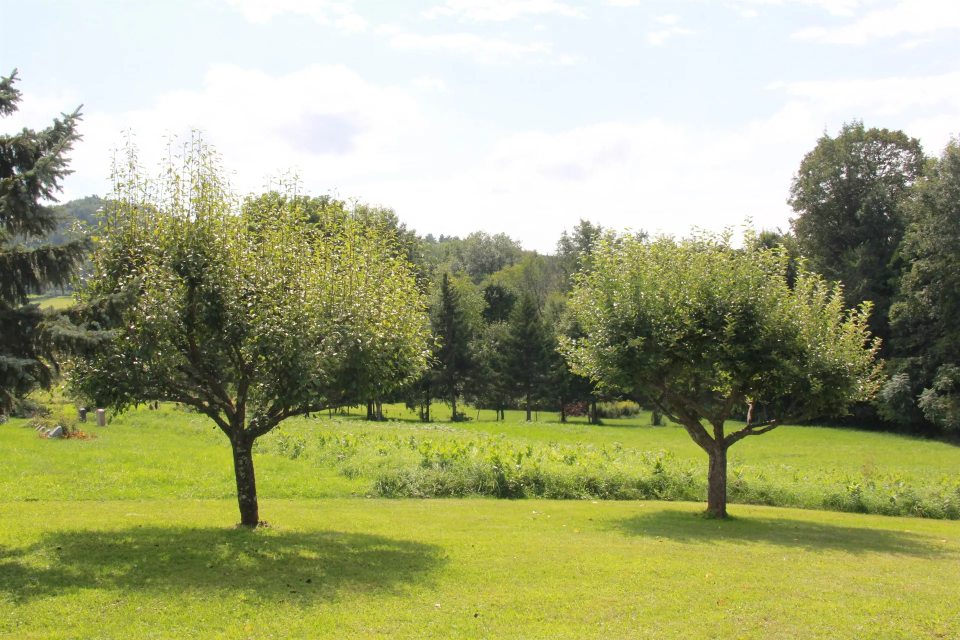 216b Monkton Ridge Monkton VT 05473