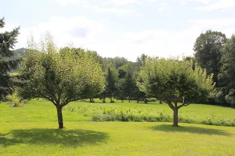 216b Monkton Ridge Monkton VT 05473