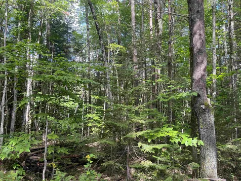 Lot 1 Neal Hill Road Tuftonboro NH 03816