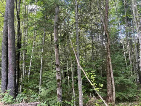 Lot 1 Neal Hill Road Tuftonboro NH 03816