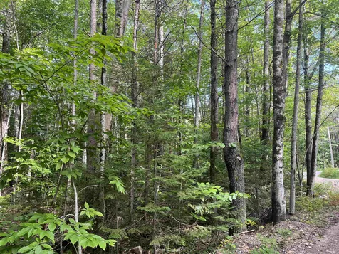 Lot 1 Neal Hill Road Tuftonboro NH 03816