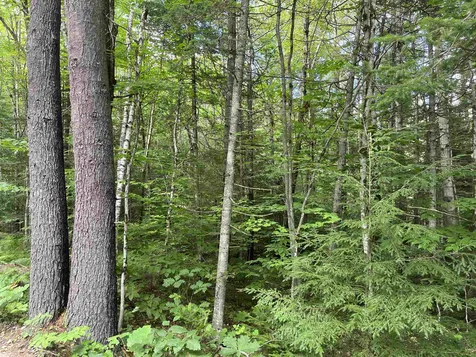 Lot 1 Neal Hill Road Tuftonboro NH 03816