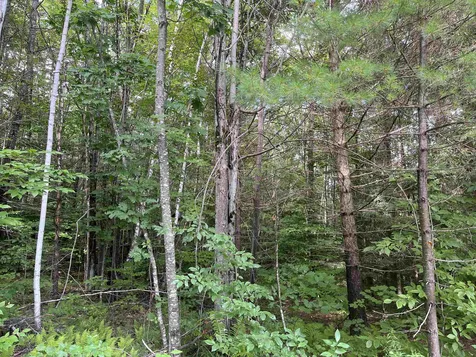 Lot 1 Neal Hill Road Tuftonboro NH 03816