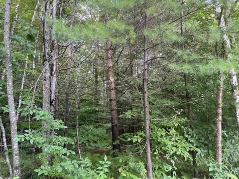 Lot 1 Neal Hill Road Tuftonboro NH 03816