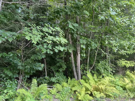 Lot 1 Neal Hill Road Tuftonboro NH 03816