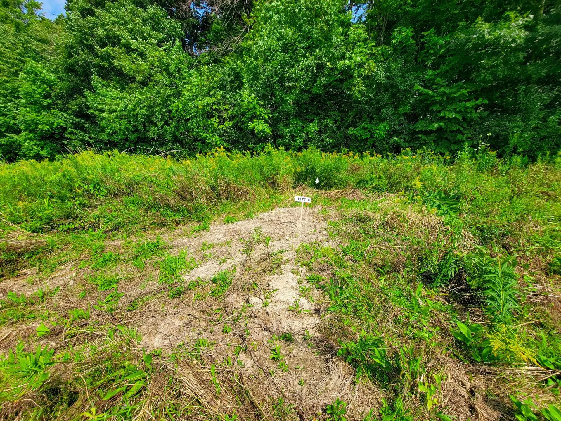 4805 Hinesburg Road Shelburne VT 05482