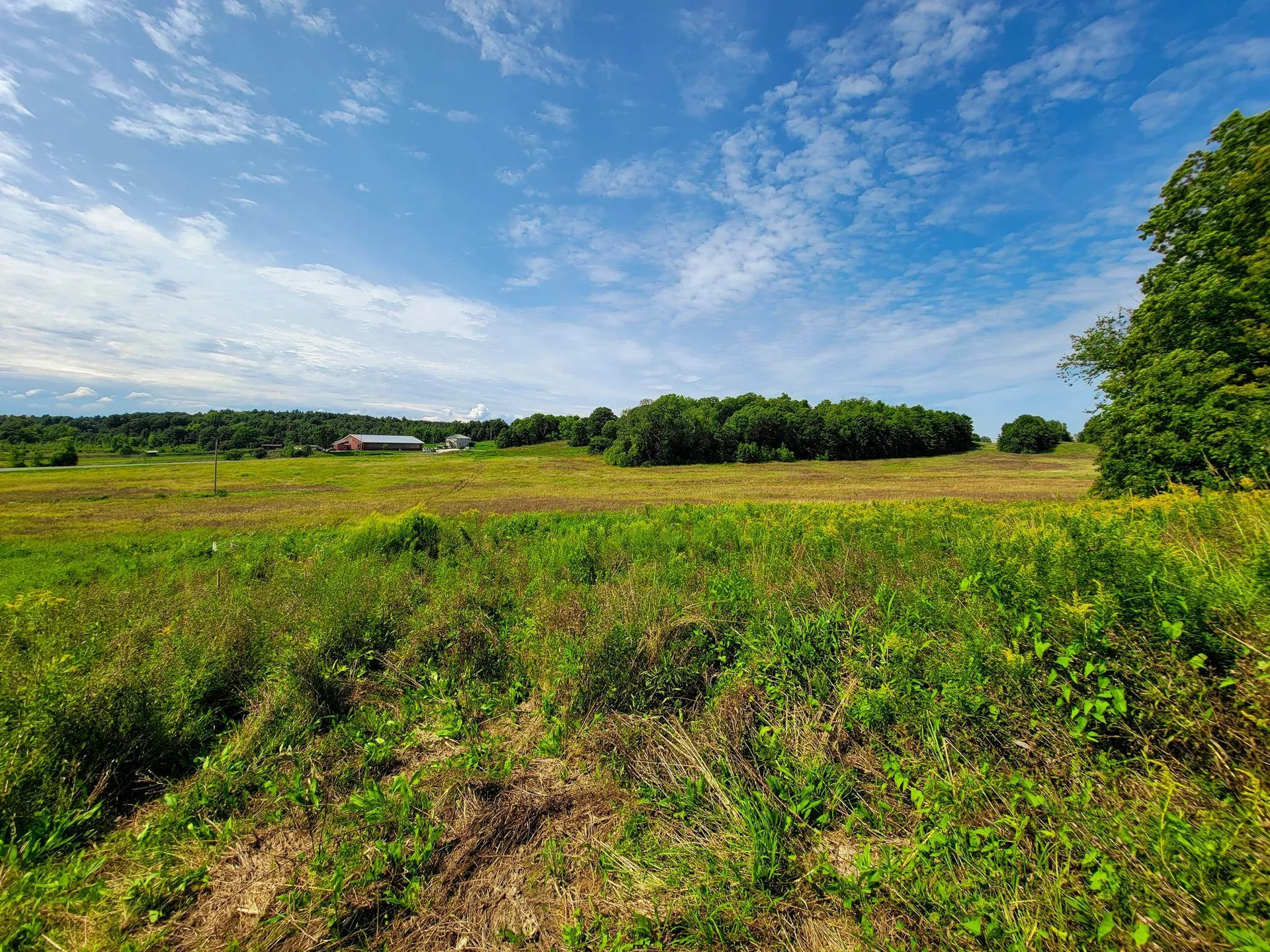 4805 Hinesburg Road Shelburne VT 05482