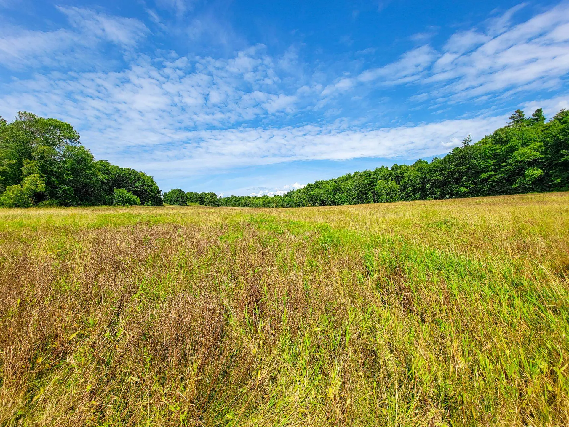 4805 Hinesburg Road Shelburne VT 05482