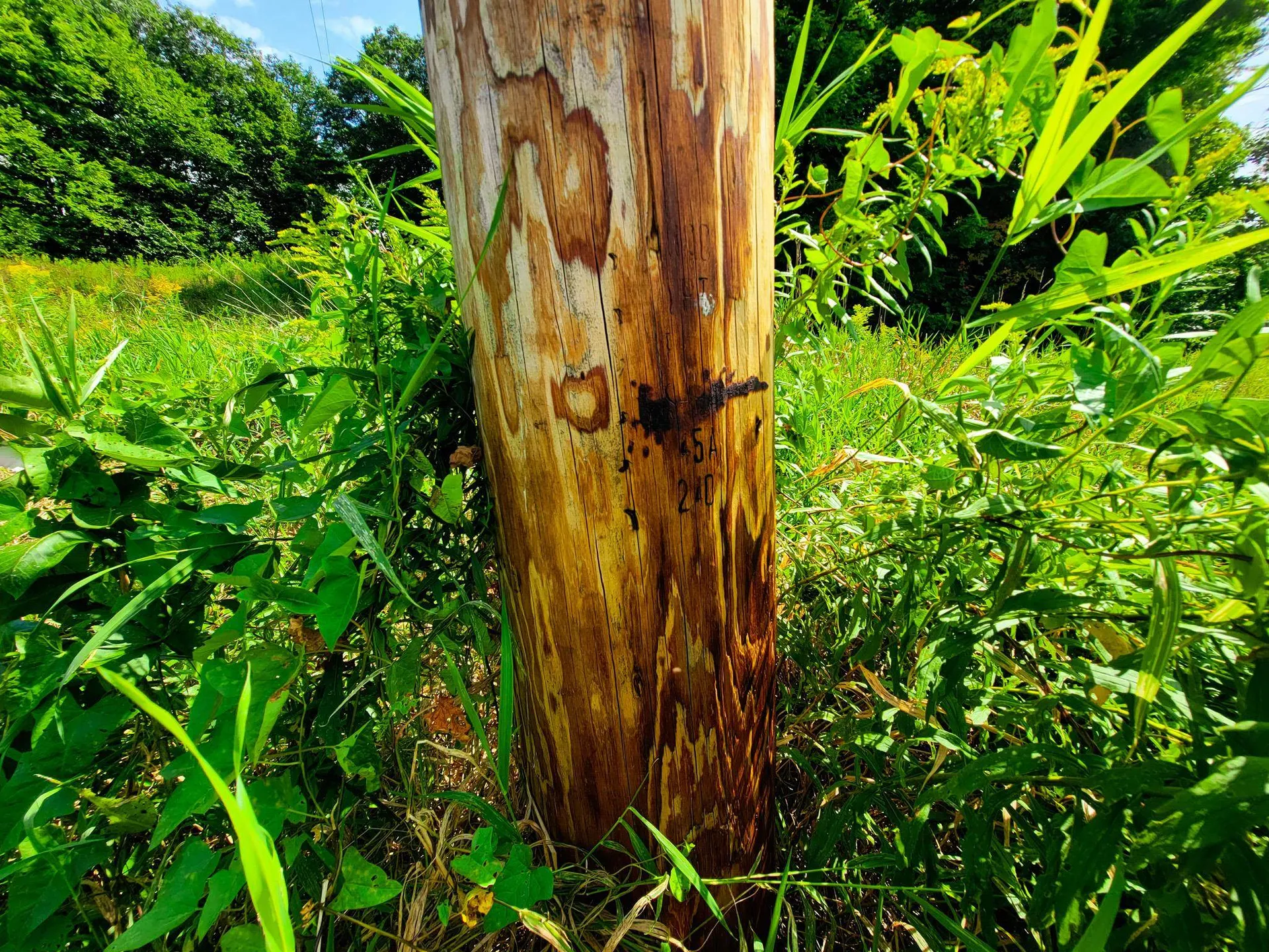 4805 Hinesburg Road Shelburne VT 05482