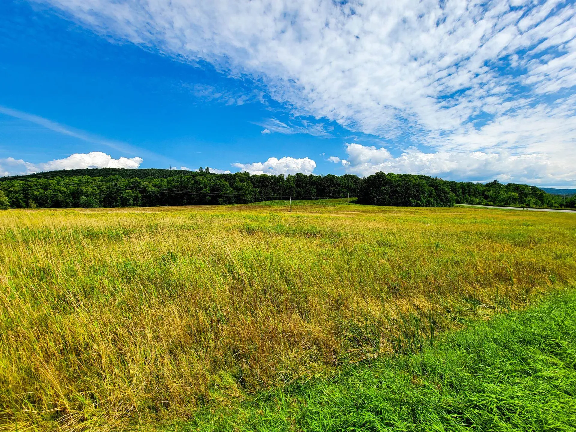 4805 Hinesburg Road Shelburne VT 05482
