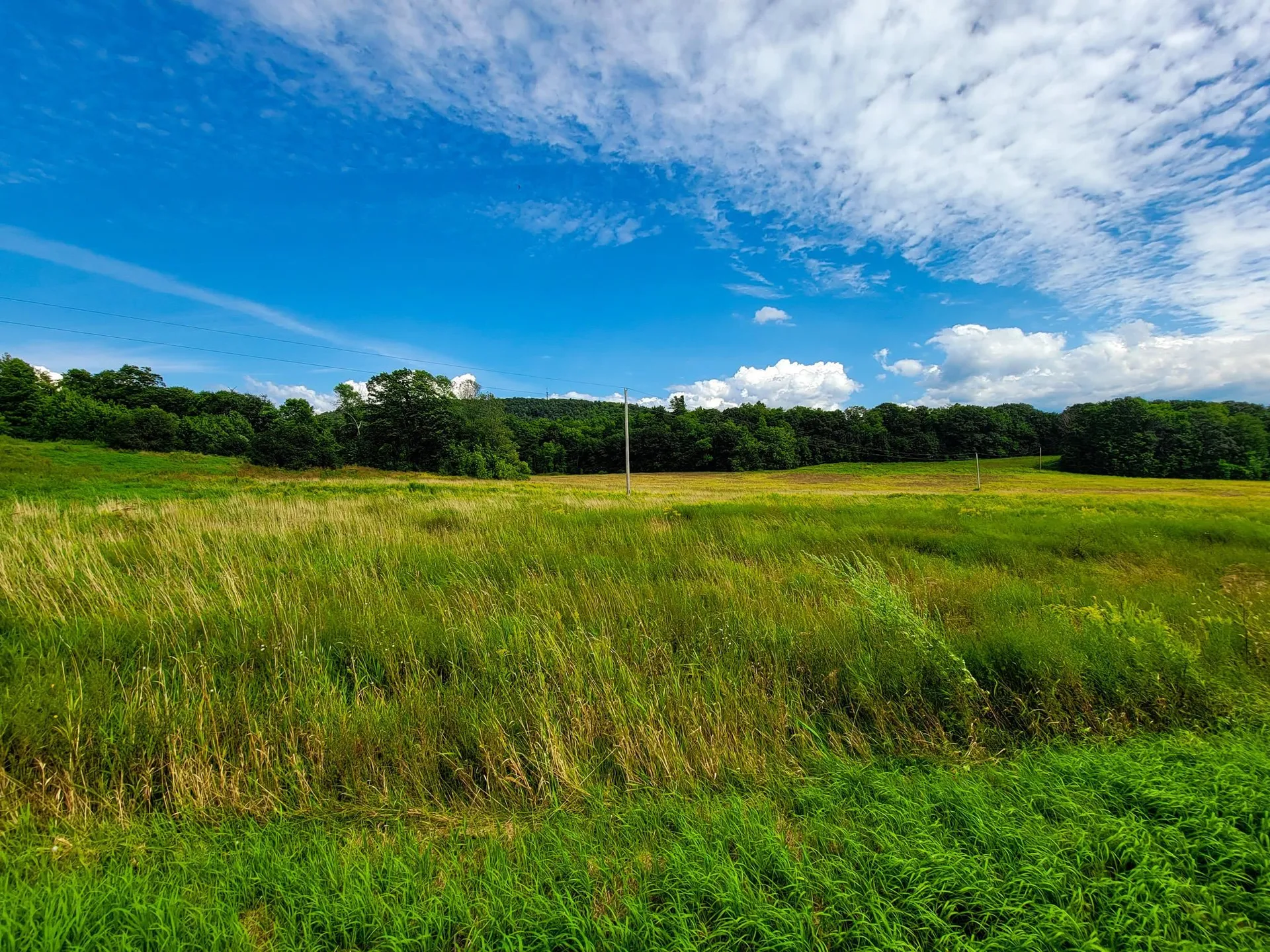 4805 Hinesburg Road Shelburne VT 05482