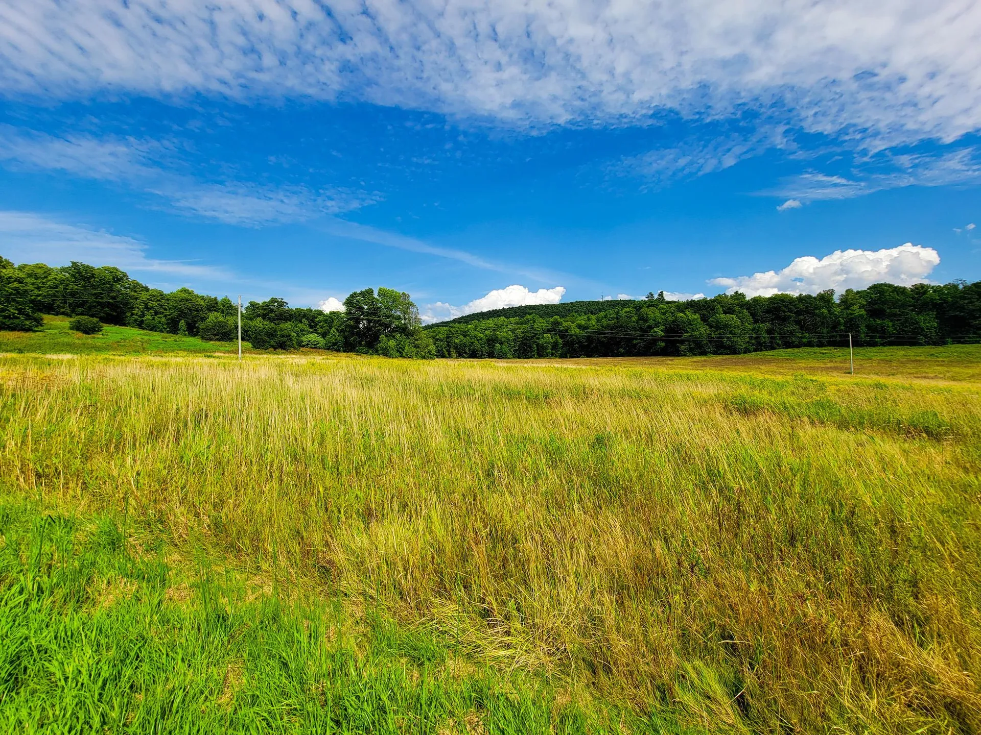 4805 Hinesburg Road Shelburne VT 05482
