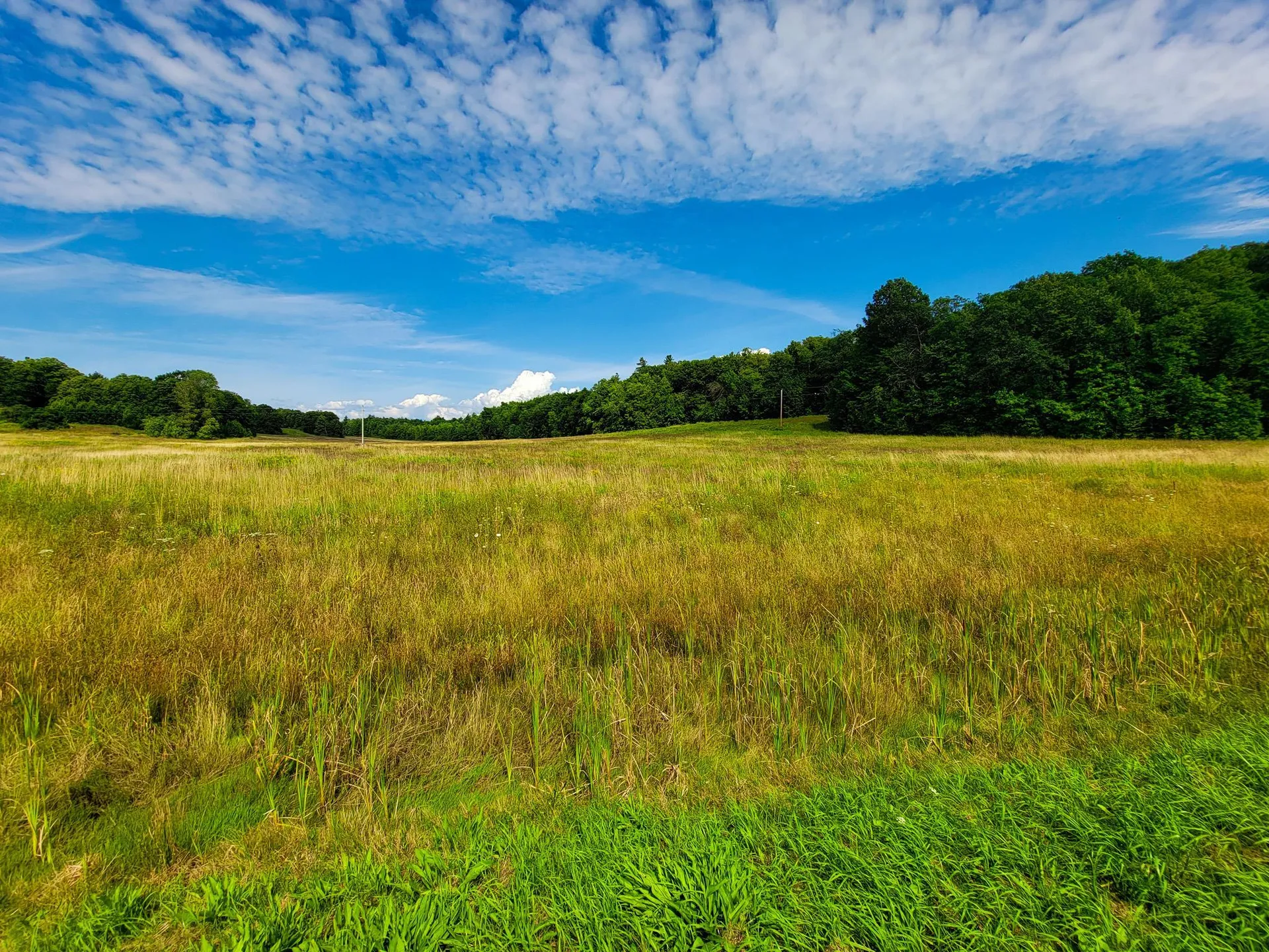 4805 Hinesburg Road Shelburne VT 05482
