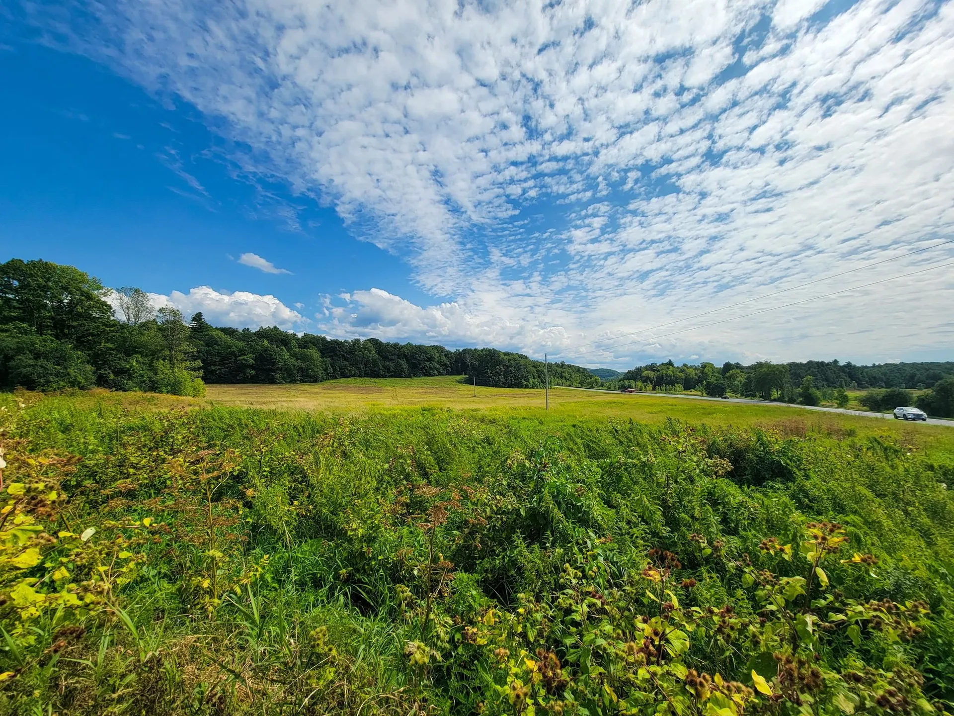 4805 Hinesburg Road Shelburne VT 05482