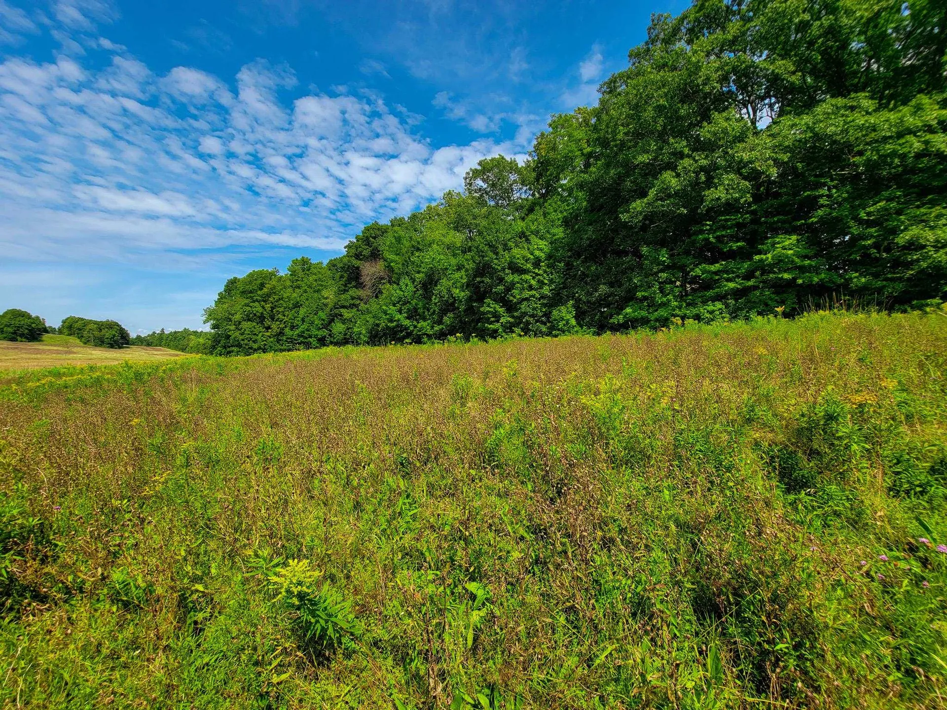 4805 Hinesburg Road Shelburne VT 05482
