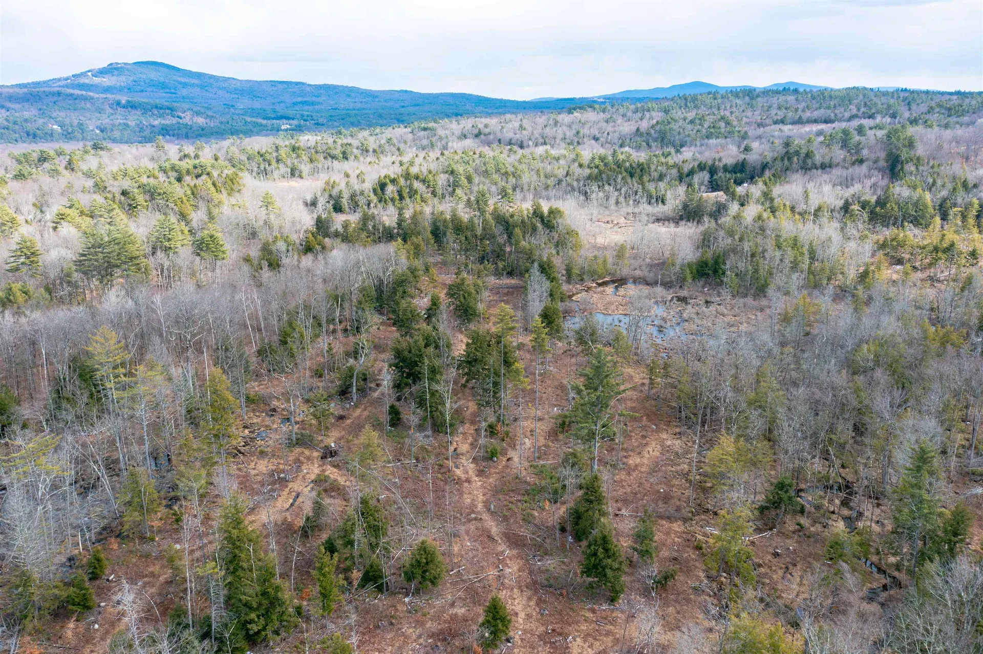 16-4 West Street Antrim NH 03440