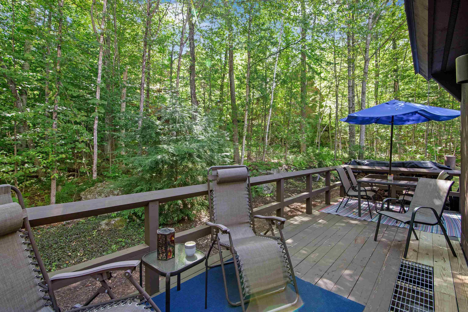 61 College Overlook Grantham NH 03753