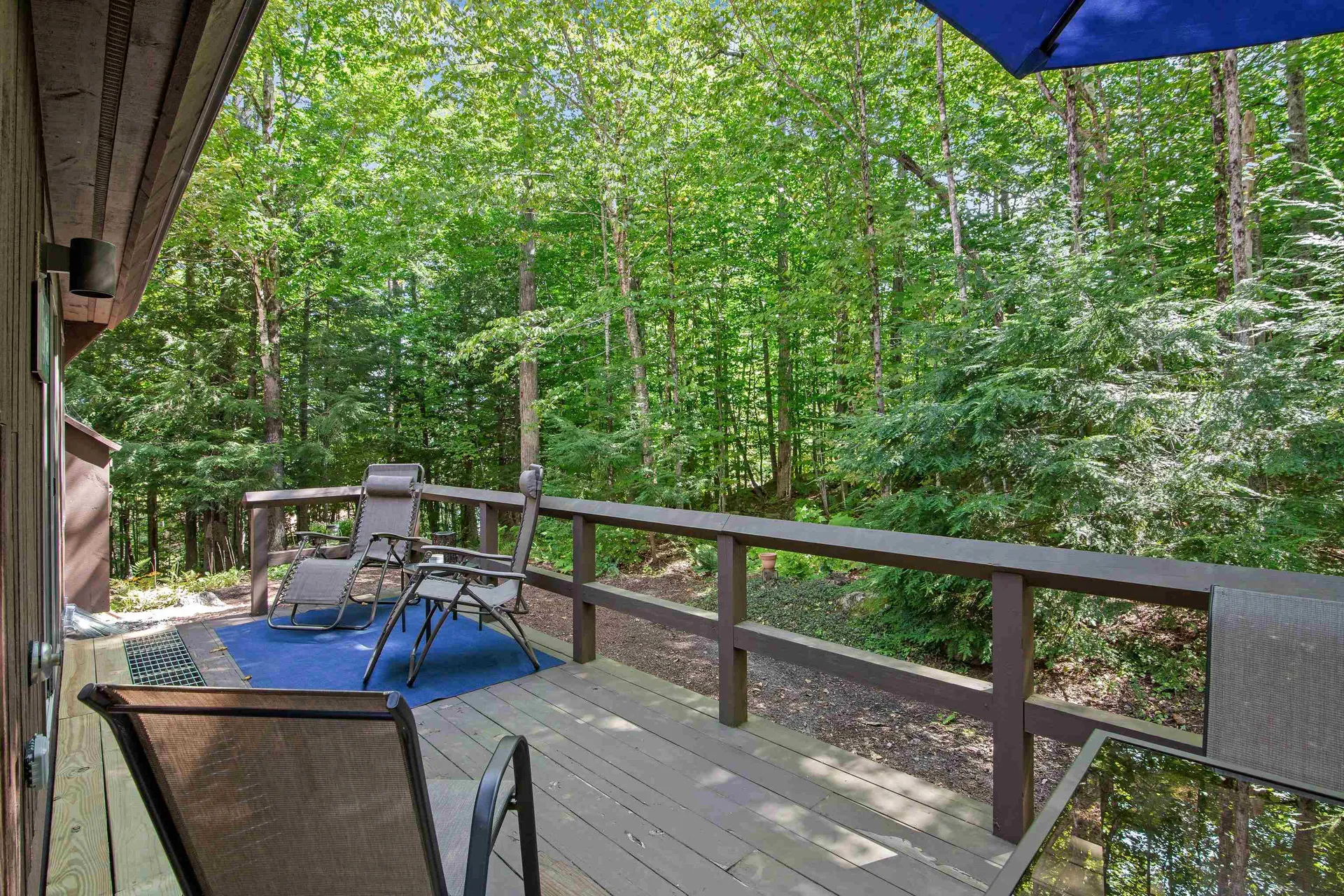 61 College Overlook Grantham NH 03753