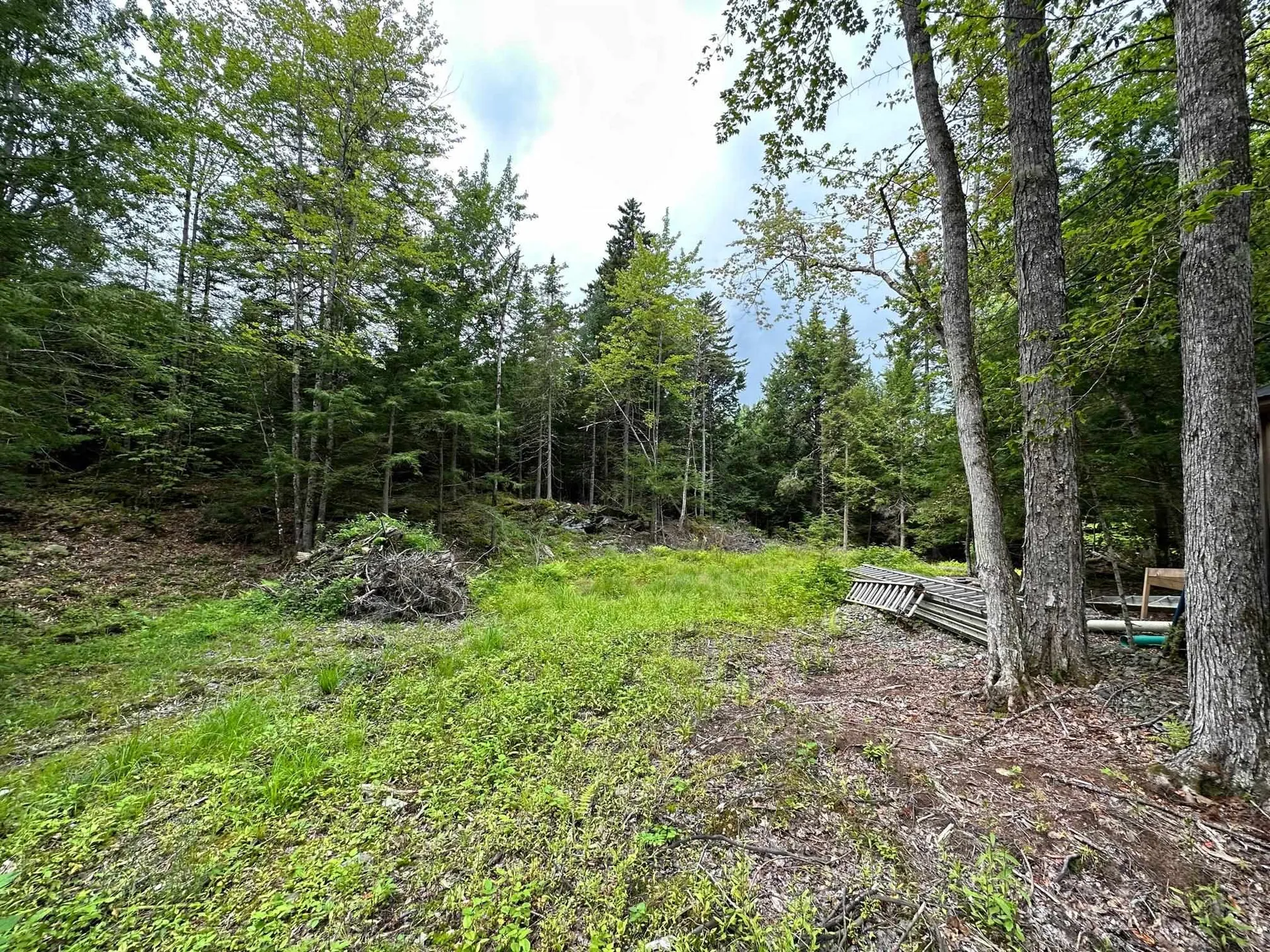 544 Lily Pond Road Haverhill NH 03780