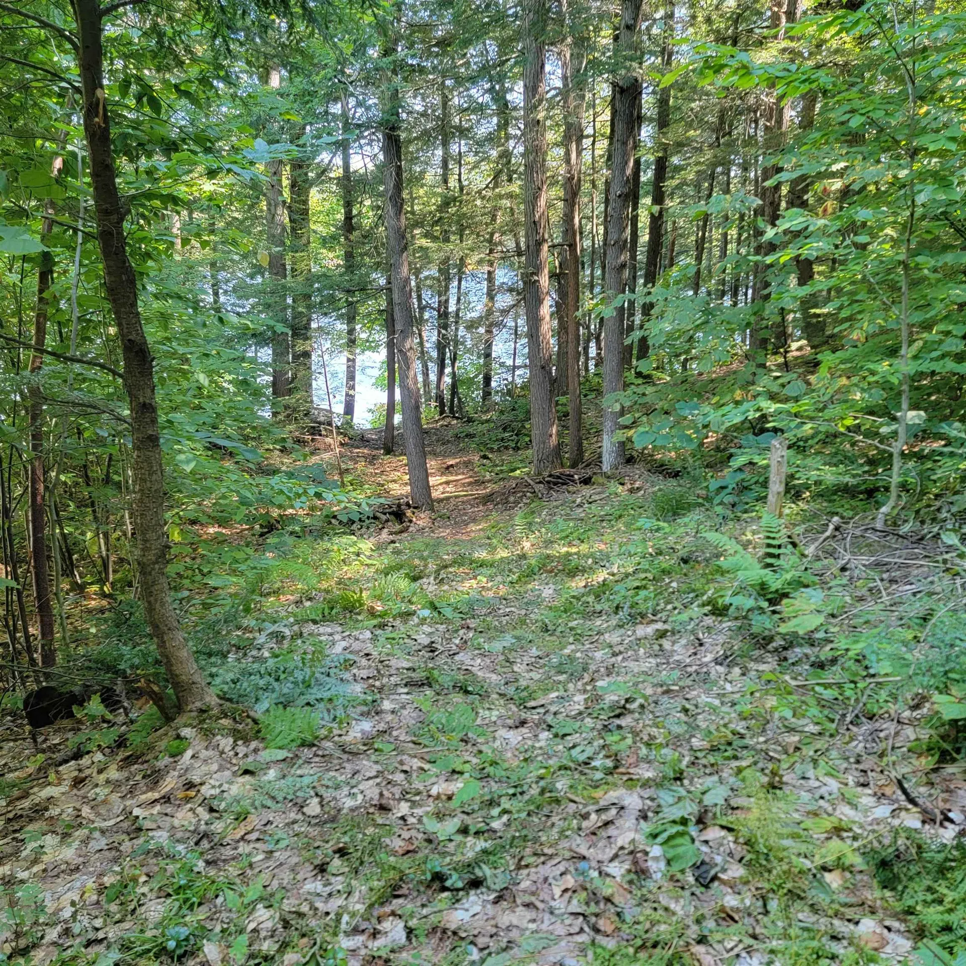 9 Moody Hollow Tuftonboro NH 03816