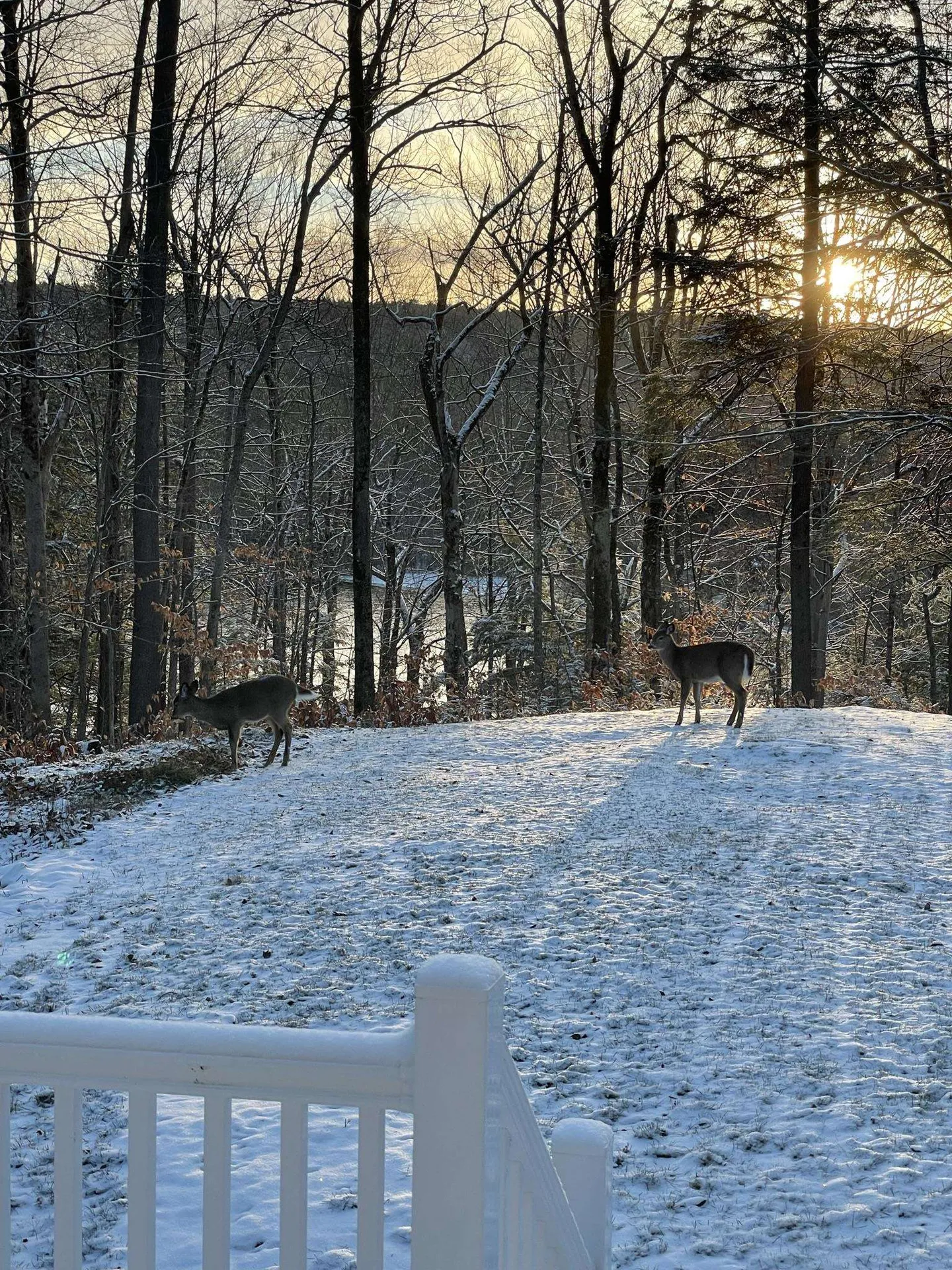 9 Moody Hollow Tuftonboro NH 03816