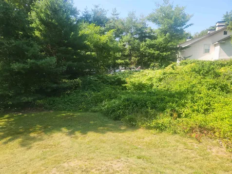 294-296 Pleasant Street Concord NH 03301