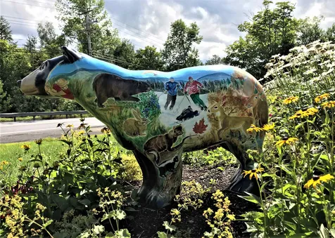 181 Howes Loop Wilmington VT 05363