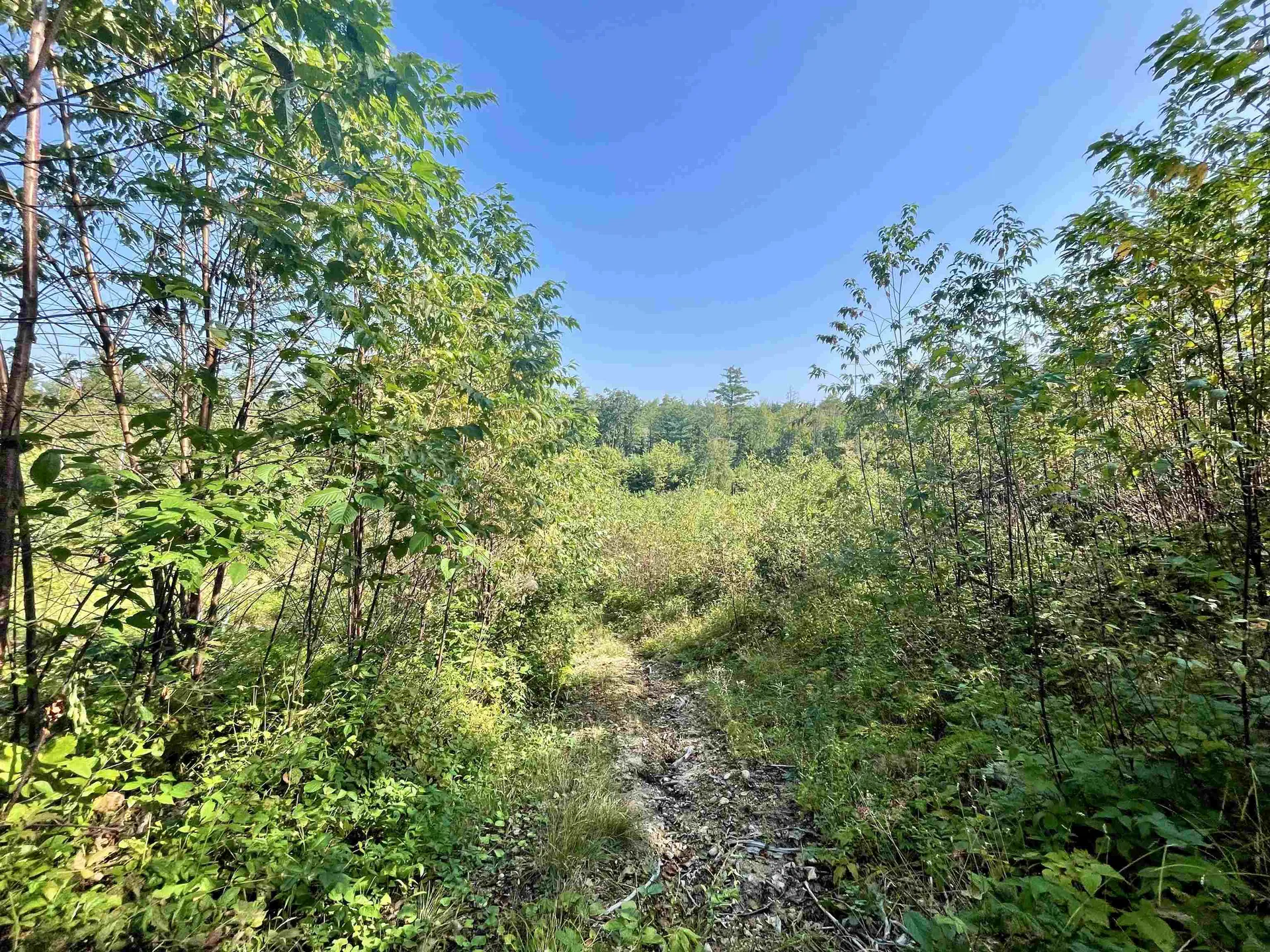 63 Old Granite Road Ossipee NH 03864