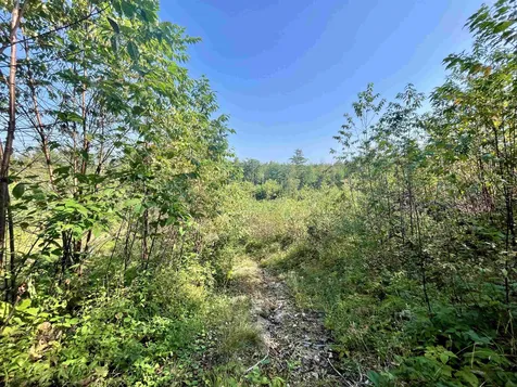 63 Old Granite Road Ossipee NH 03864