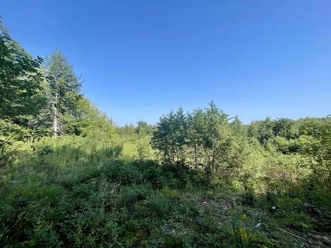 63 Old Granite Road Ossipee NH 03864