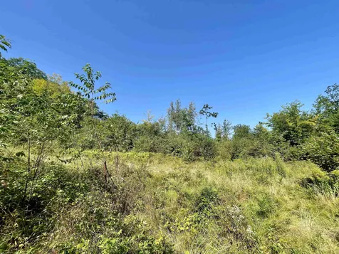 63 Old Granite Road Ossipee NH 03864