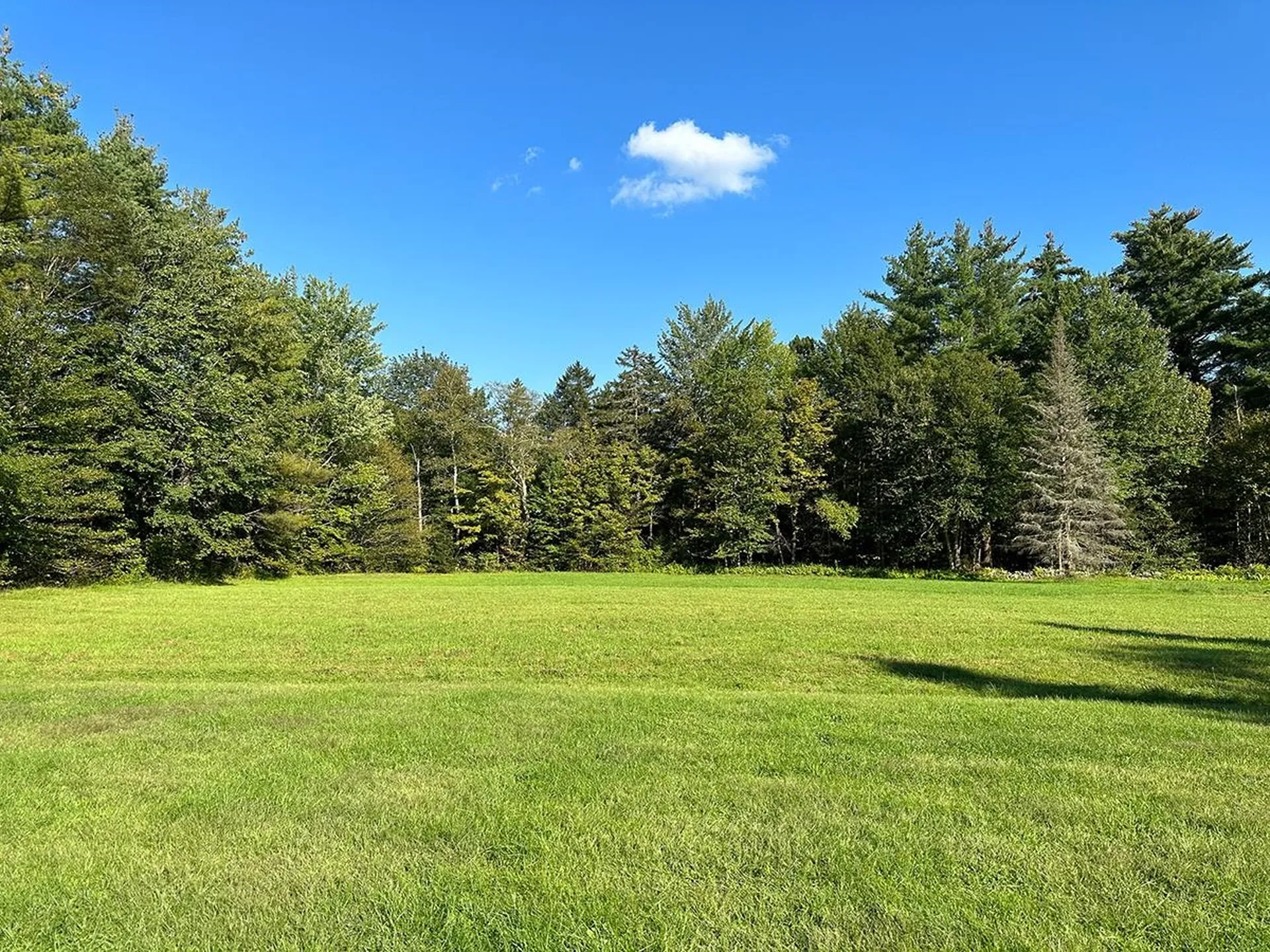 289 Lower Pines Road Warren VT 05674