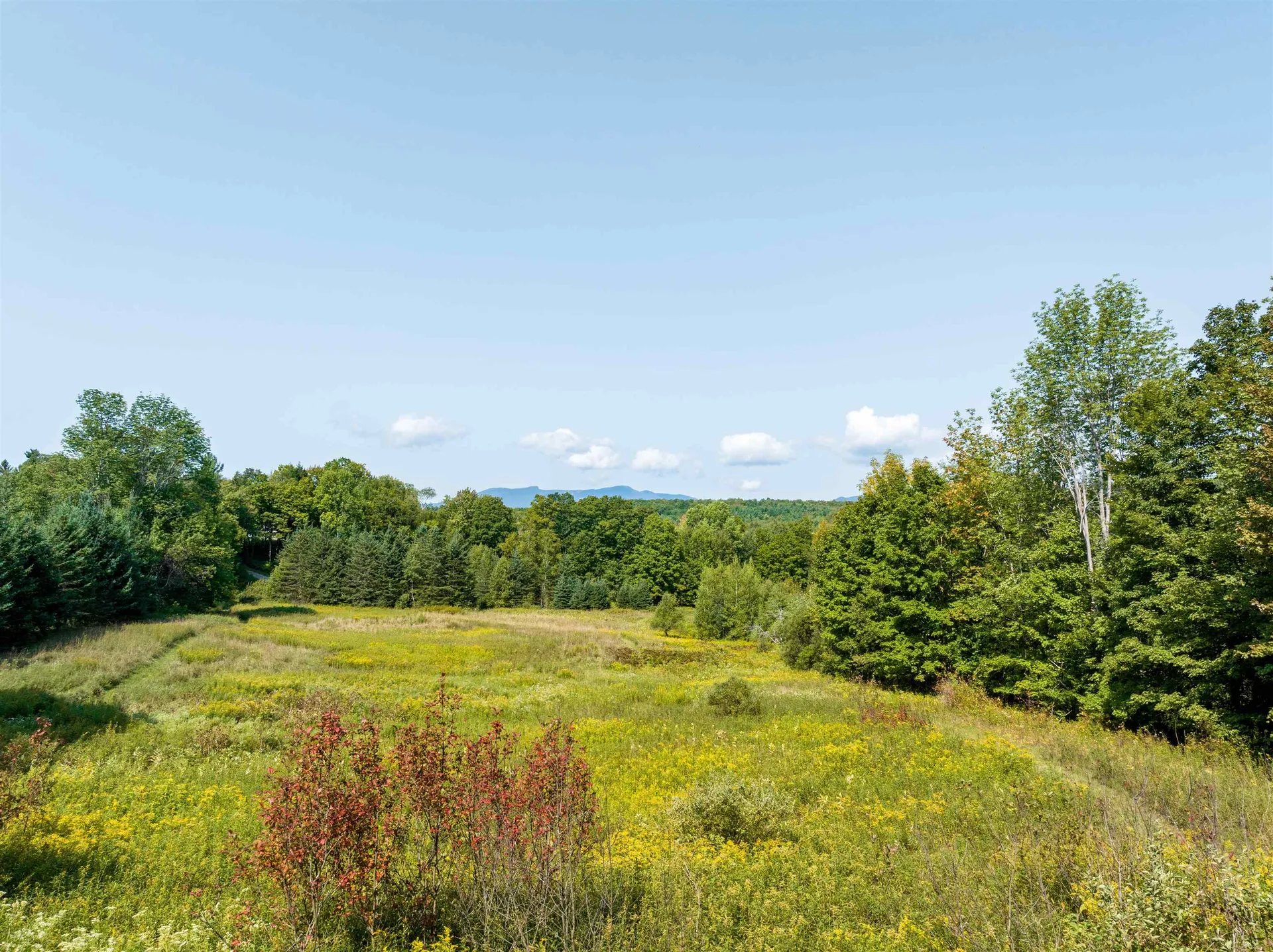 300 North Hollow Road Stowe VT 05672