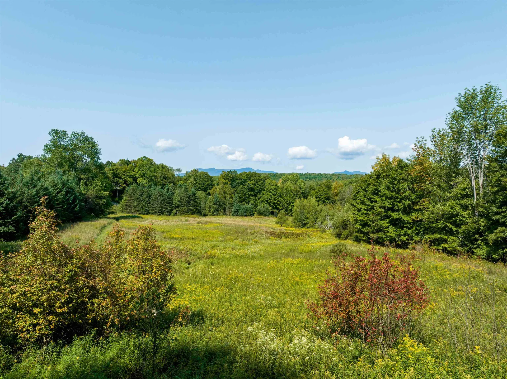 300 North Hollow Road Stowe VT 05672