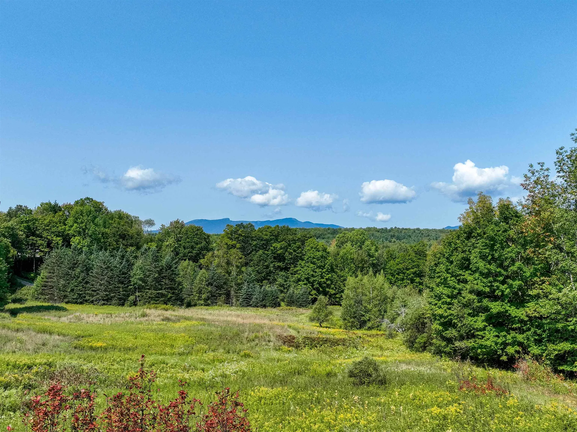 300 North Hollow Road Stowe VT 05672