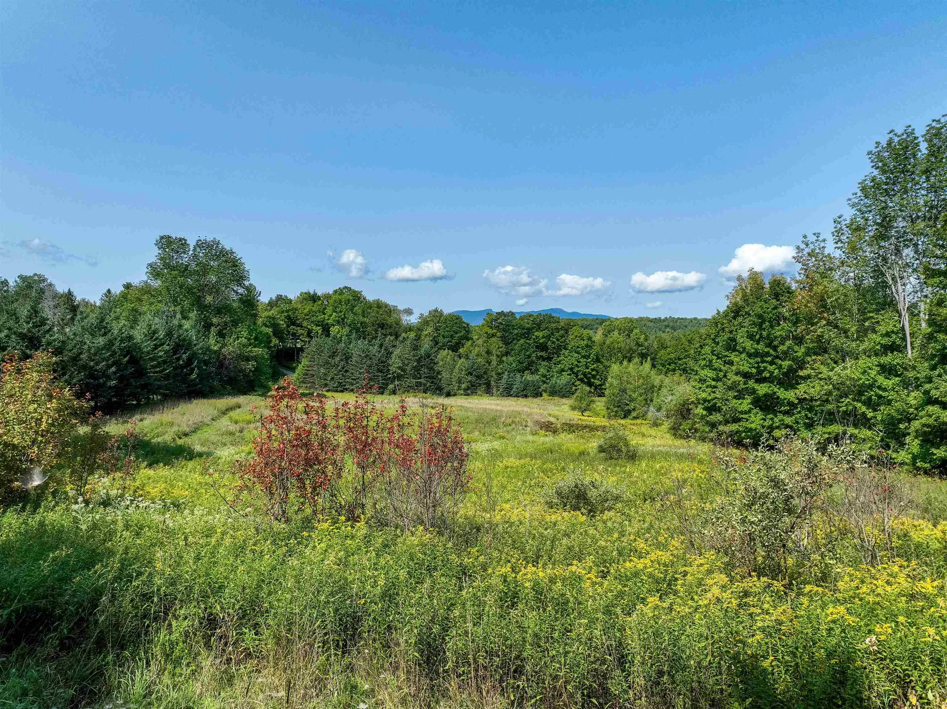 300 North Hollow Road Stowe VT 05672