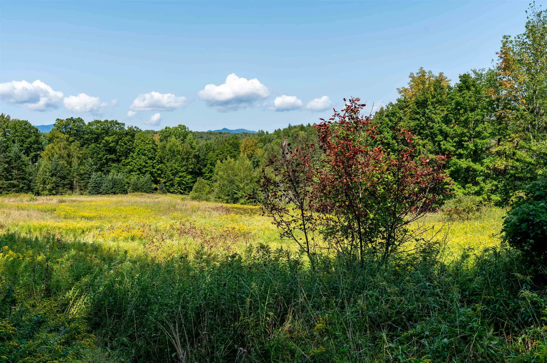 300 North Hollow Road Stowe VT 05672