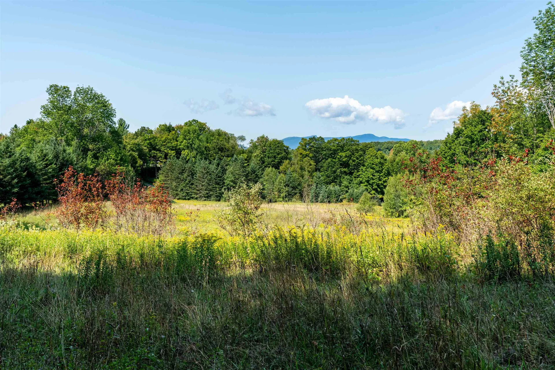 300 North Hollow Road Stowe VT 05672