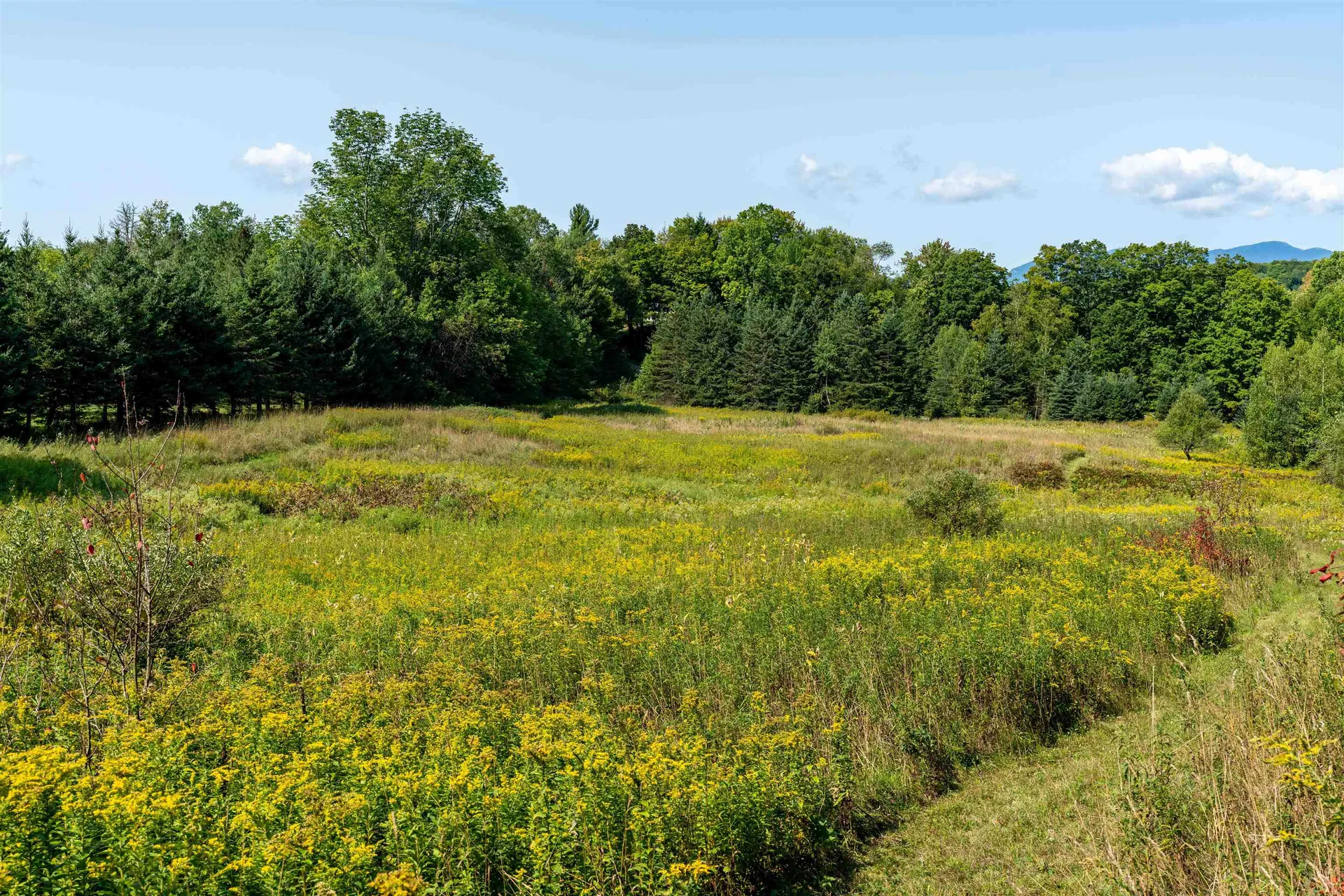 300 North Hollow Road Stowe VT 05672