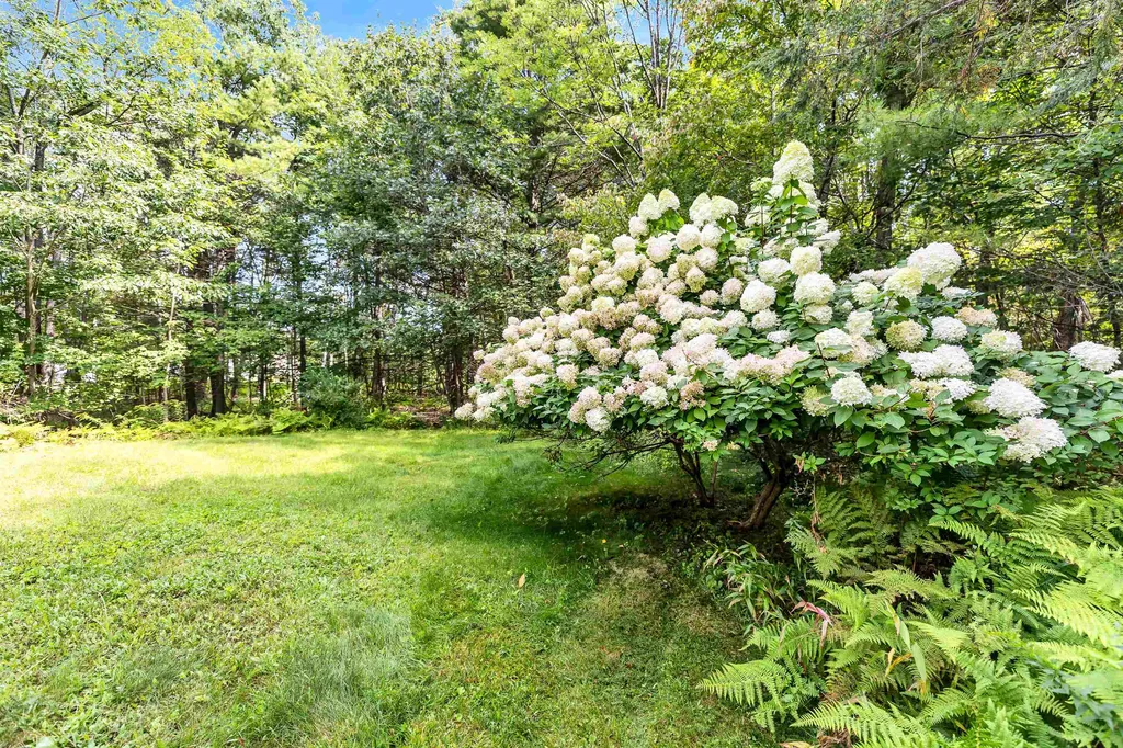 303 Dale Street Wilton NH 03086