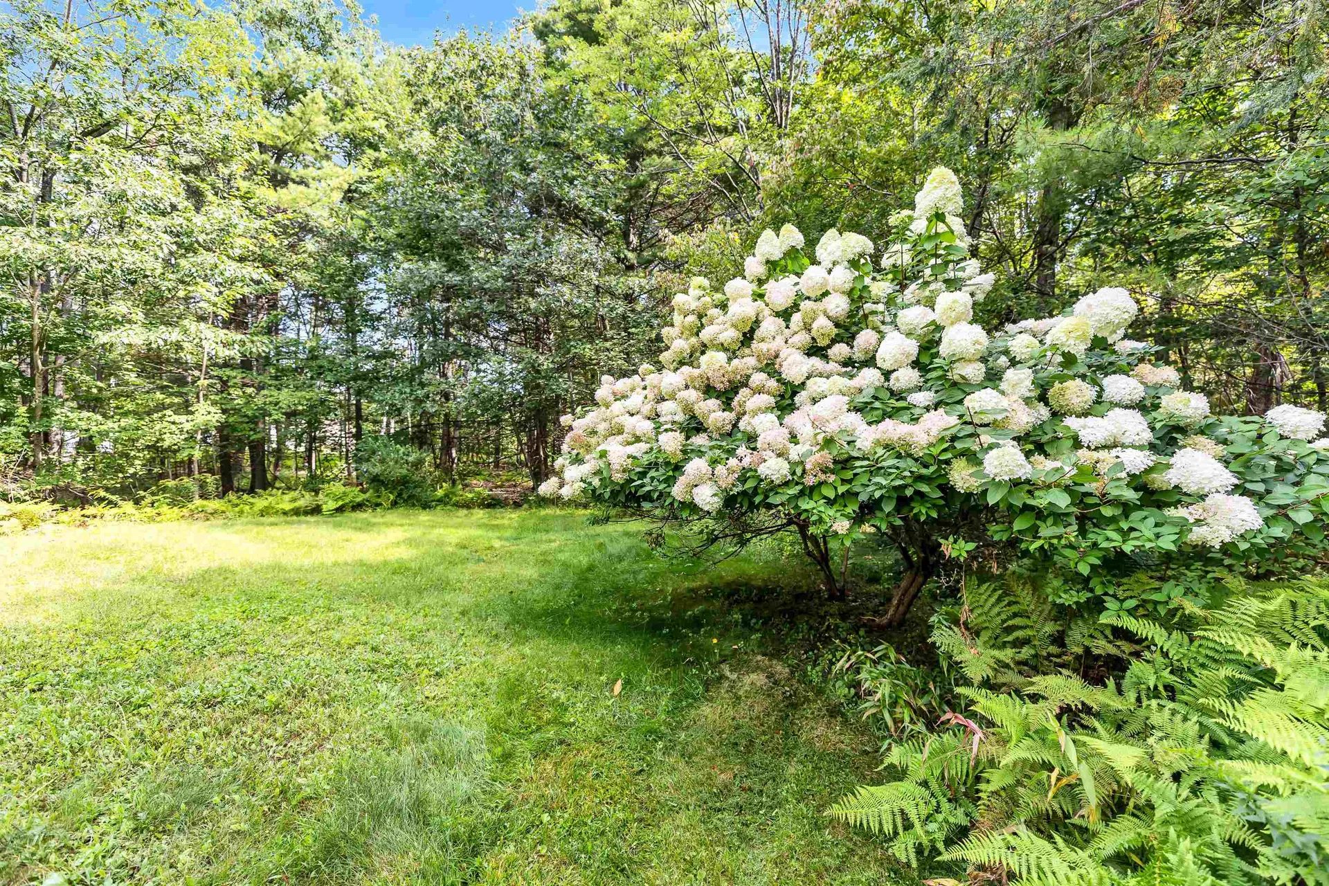 303 Dale Street Wilton NH 03086